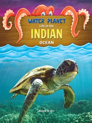 cover image of Indian Ocean